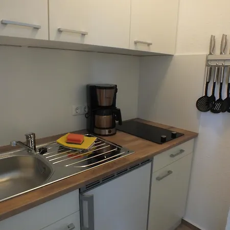 Buntspecht B شقة فندقية Pruchten